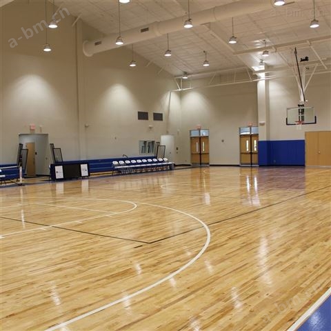 篮球乒乓球场馆实木防滑枫木运动地板