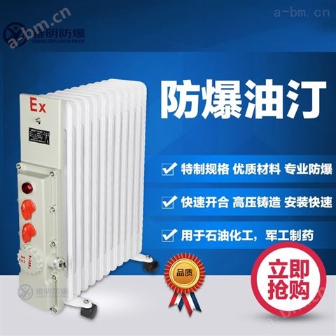 13片BDR-2500W3000W防爆电暖器取暖器