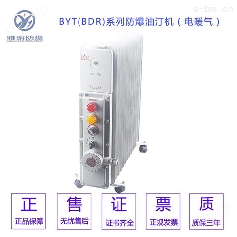 移动式BDR-1500W2000W2500W防爆取暖器